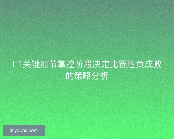 F1关键细节掌控阶段决定比赛胜负成败的策略分析