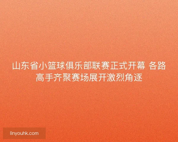 山东省小篮球俱乐部联赛正式开幕 各路高手齐聚赛场展开激烈角逐