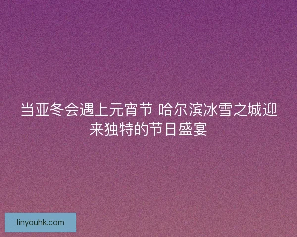 当亚冬会遇上元宵节 哈尔滨冰雪之城迎来独特的节日盛宴 当亚冬会遇上元宵节 哈尔滨冰雪之城迎来独特的节日盛宴